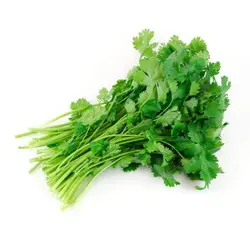 گشنیز