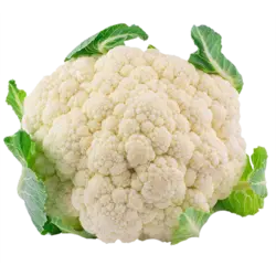 گل کلم