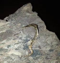 گردنبند تبر یخنوردی مدل اسکلتون کد J214