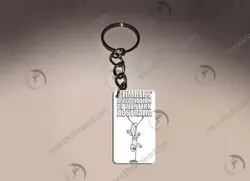 جاسوئیچی طرح مارمولک کدA529