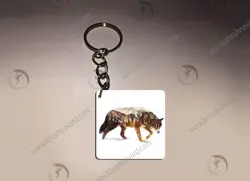 جاسوئیچی طرح گرگ کوهستان کدA524