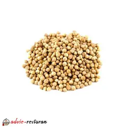 تخم گشنیز