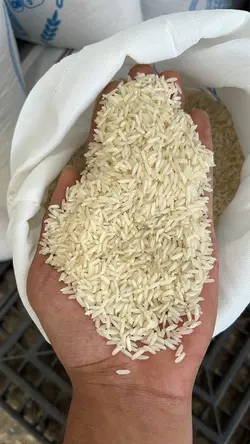 برنج‌کشت دوم سوپر ویژه امین-10 کیلوگرمی