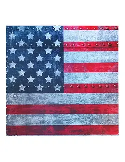 برچسب کنسول PS4 طرح پرچم آمریکا USA