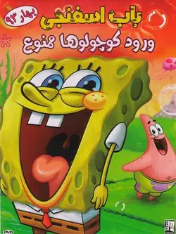 باب اسفنجی ورود کوچولوها ممنوع