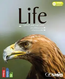 مستند زندگی پرندگان و حشرات