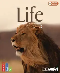 مستند زندگی پستانداران و ماهی ها