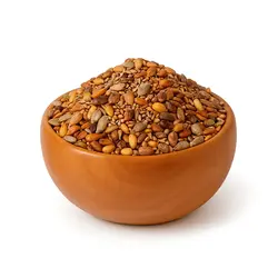 آجیل مادربزرگ خانگی و تازه (500گرمی) - بوتیاس بهترین میان وعده برای کودکان و بزرگسالان