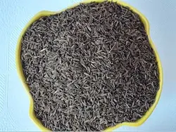 فروش بدون واسطه زیره سیاه کرمان+ارسال رایگان