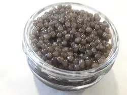 خاویار بلوگا امپریال کیفیت صادراتی