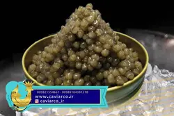 خاویار بلوگا امپریال کیفیت صادراتی