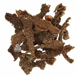 خرید تشویقی سگ هاپومیل چیپس سیرابی سبز گاو 50 گرمی | دیجی فورپت