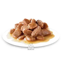 خرید پوچ گربه رویال کنین مدل گوارش حساس 85 گرمی | دیجی فورپت