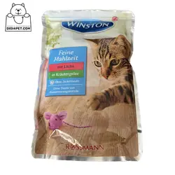 خرید پوچ گربه وینستون ماهی سالمون در ژله 100 گرمی | دیجی فورپت