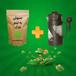 پیشنهاد ویژه دمنوش به لیمو به همراه فرنچ پرس 600 میل