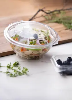 ظرف سالاد یکبار مصرف KFC پریما
