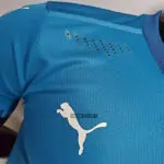 کیت سوم آبی ورژن بازیکن اریجینال آ پلاس آث میلان 2021-Puma