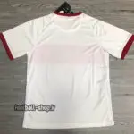 ‎لباس دوم سفید اریجینال درجه یک +A ترکیه 2021-2020-Nike