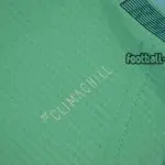 ‎لباس سوم ورژن پلیر اورجینال 2019-2020 رئال مادرید-Adidas-player