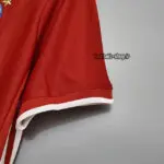 ‎لباس اول اریجینال درجه یک +A بایرن مونیخ 2021-2020-Adidas