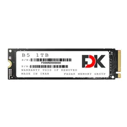 اس اس دی اینترنال فدک (FDK) مدل B5 M.2 ظرفیت 1 ترابایت (SSD 1TB B5 SEREIS M.2)
