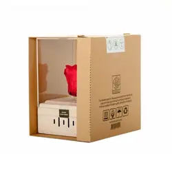 رز جاودان موزیکال کوکی rossage موزیک Amelie