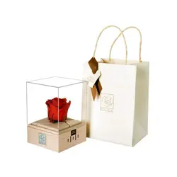 رز جاودان موزیکال کوکی rossage موزیک Amelie