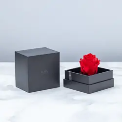 رز جاودان ورا