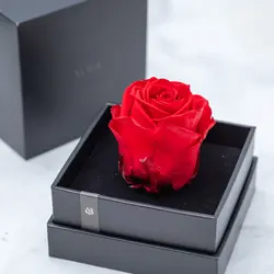 رز جاودان ورا