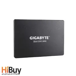 اس اس دی اینترنال گیگابایت مدل GP-GSTFS31256GTND ظرفیت 256 گیگابایت - فروشگاه اینترنتی های بای | HiBuy