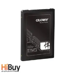 اس اس دی اینترنال گلووی مدل Stryker Series ظرفیت 960 گیگابایت - فروشگاه اینترنتی های بای | HiBuy