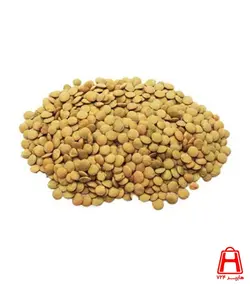 عدس اصلی (کیلوگرم )