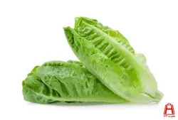 کاهو | هایپر ۷۲۴