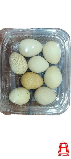 تخم کبک (8عددی)