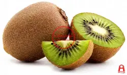 کیوی (کیلوگرم)