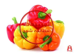 فلفل دلمه ای رنگی (کیلوگرم)
