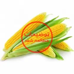 بلال (کیلوگرم)