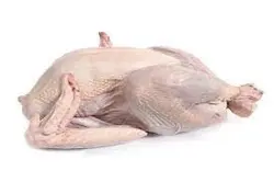 گوشت بوقلمون (کیلوگرم)