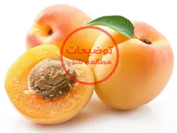 زردآلو (کیلوگرم)