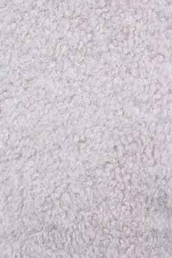 پالتو تدی کد-156