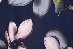 شومیز کد-7044