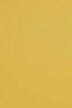 شومیز کد-7013