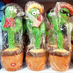 کاکتوس رقصنده