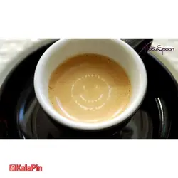 قاشق طراحی شابلون دار دارای 16 عدد شابلون