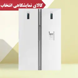 یخچال فریزر دوقلو اسنوا مدل 1193SS سیلور کالای نمایشگاهی