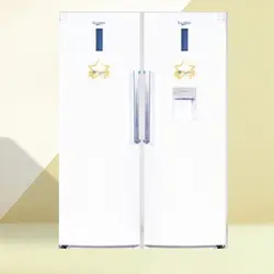 یخچال فریزر دوقلو یورواستار مدل ENF-592 EUROSTAR
