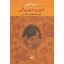 شور و شوریدگی