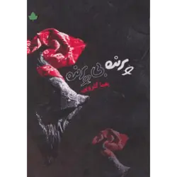 پرنده بی پرنده