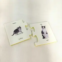 پازل و جورچین دورو حیوانات و بچه هایشان(نشر نردبان)