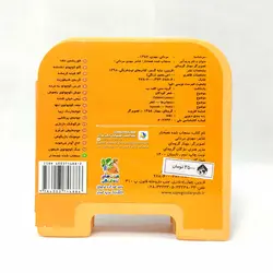 کتاب فومی چشمی سنجاب شده غصه دار(نشر سایه گستر)